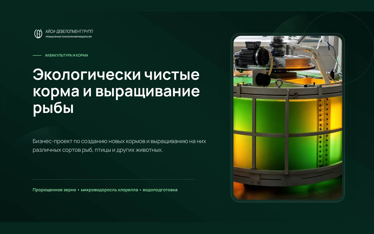 Превью презентации об экологически чистых кормах и выращивании рыбы